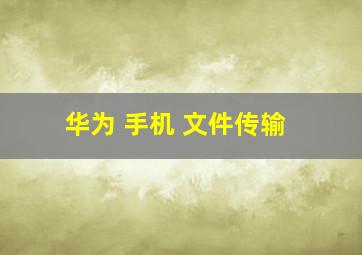 华为 手机 文件传输